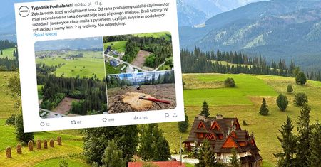 Tajemnicza wycinka w Zębie. Nikt nic nie wie, pracownicy po prostu uciekli