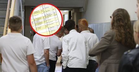Pokazują plany lekcji. "To już jest nienormalne"