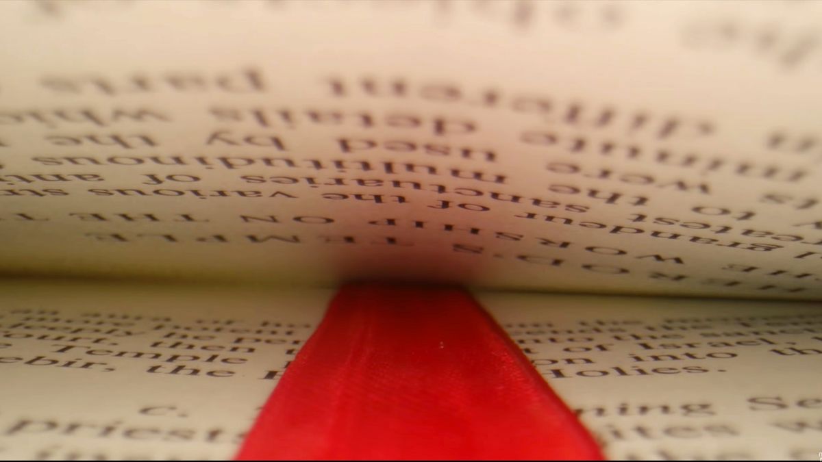 "Shooting Macro" to prawdziwy popis kreatywności. Film robi wrażenie! 1