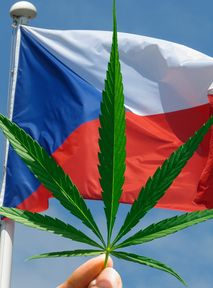 Czech Republic looks to Germany for inspiration on cannabis legalisation