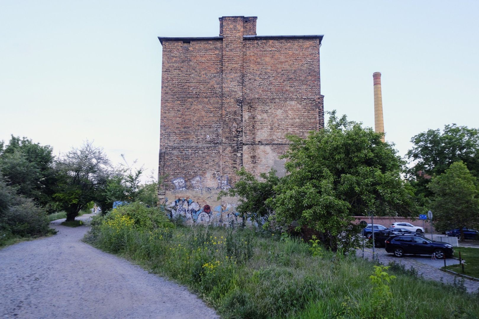 Czartoria 5