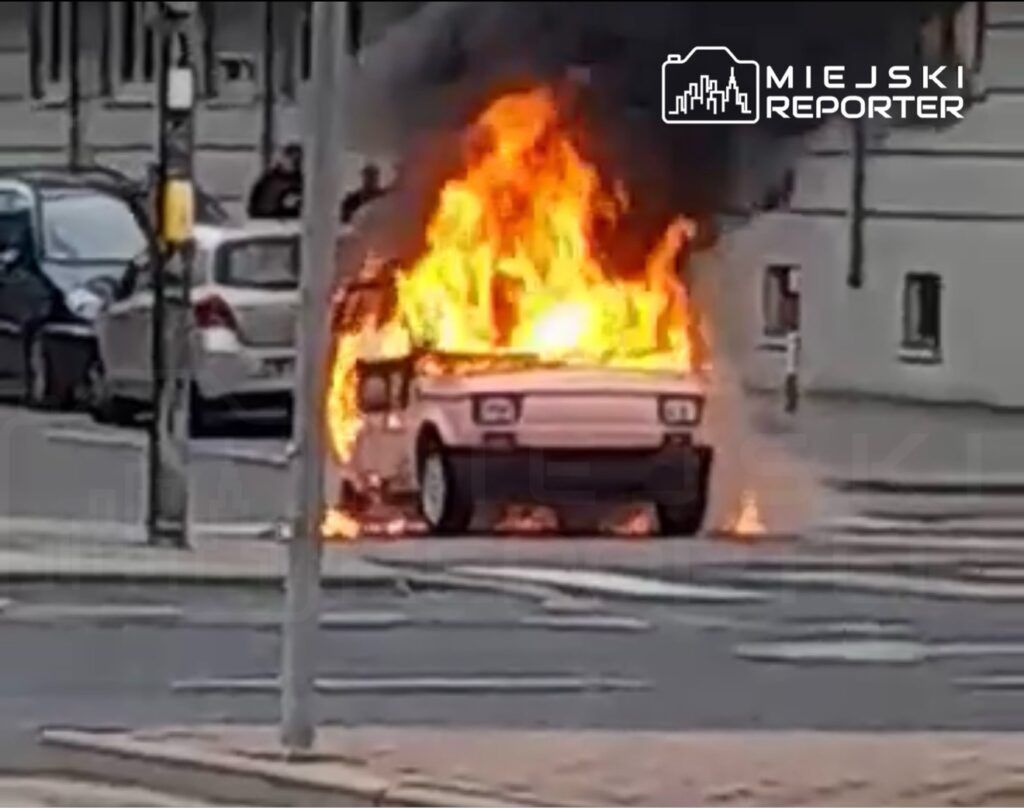 Fot. Czytelniczka Miejskiego Reportera