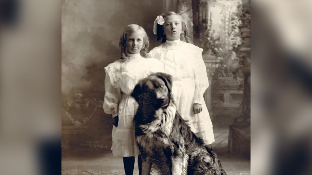 Anthony Cavo zebrał zdjęcia sprzed ponad 100 lat i wydał niesamowitą książkę pokazującą miłość ludzi do psów.