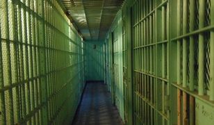 Twórca wirtualnej waluty skazany na 20 lat więzienia