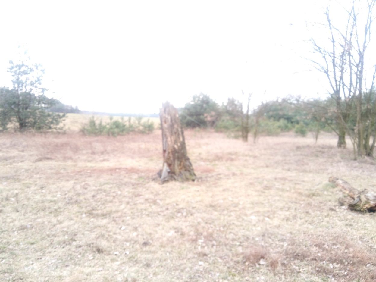 Test Kiano Elegance 5.1 Pro – smartfonu za 500+ z tylko jedną wadą 12