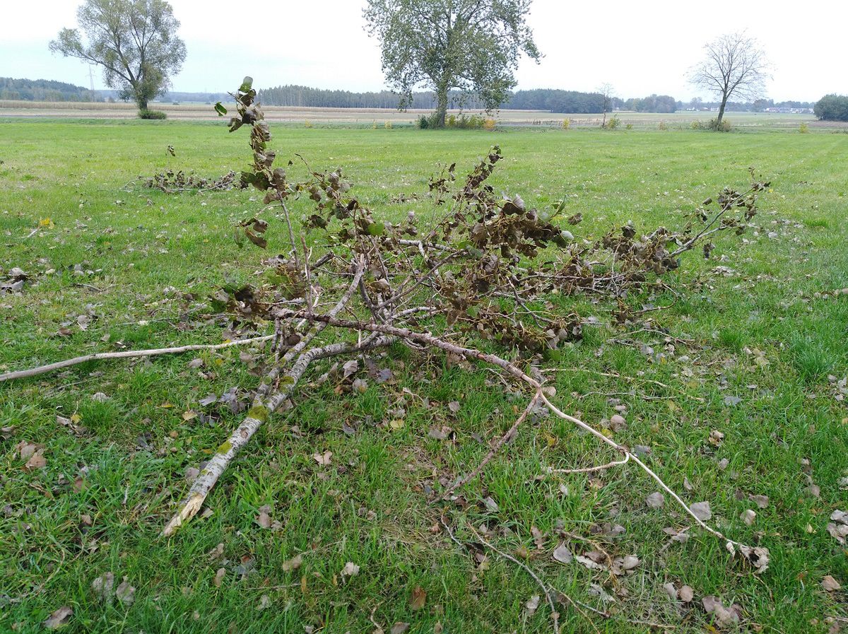 Huawei Y7 – test dobrego smartfona z 5,5-calowym ekranem HD 20