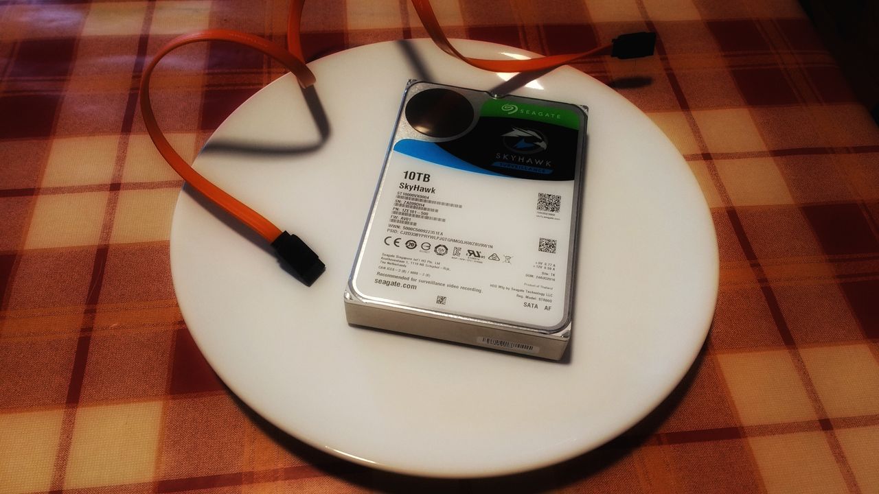 Seagate SkyHawk 10TB