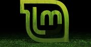 Linux Mint 17 „Qiana”: odświeżony Cinnamon, przebudowane ustawienia i instalowanie sterowników w trybie offline