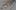 Wings 3D — modelowanie 3D dla konserwatywnych