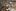 Nowy zwiastun Command & Conquer — Beyond the Battle: Part 2