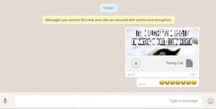 Plik HTML naśladujący podgląd obrazka...