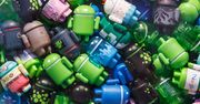 Fragmentacja Androida jest problemem? Nie dla Google, firma na niej zarabia