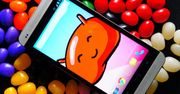 Czysty Android się nie sprawdził? Koniec smartfonów Google Play Edition