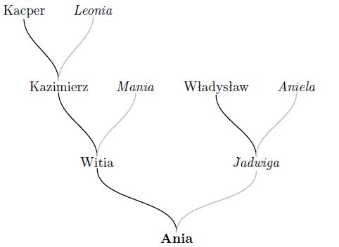 Drzewo genealogiczne w LaTeX-u