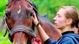 - Moje klacze są przerażone. Nie wiem, kto mógł je tak skrzywdzić - mówi ich właścicielka Roksana Chrabustowicz