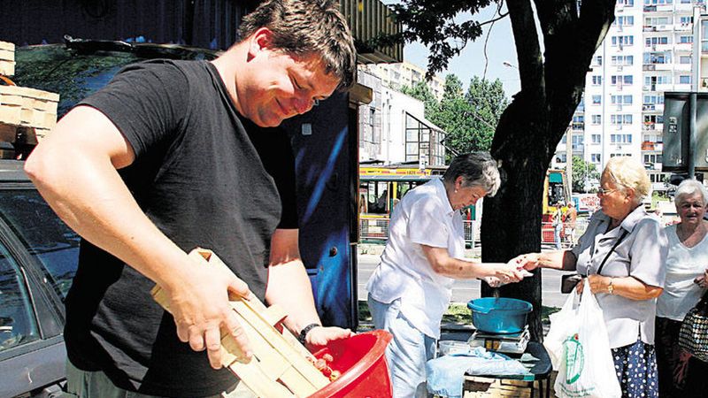 Janusz Jankowski sprzedaje truskawki i płaci mandaty