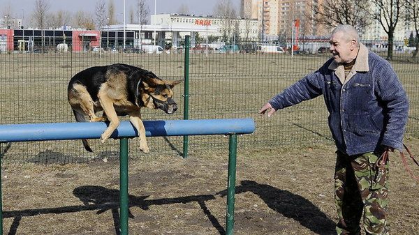 Roman Tomera przychodzi ze swym owczarkiem na wybieg przy ul. Opolskiej