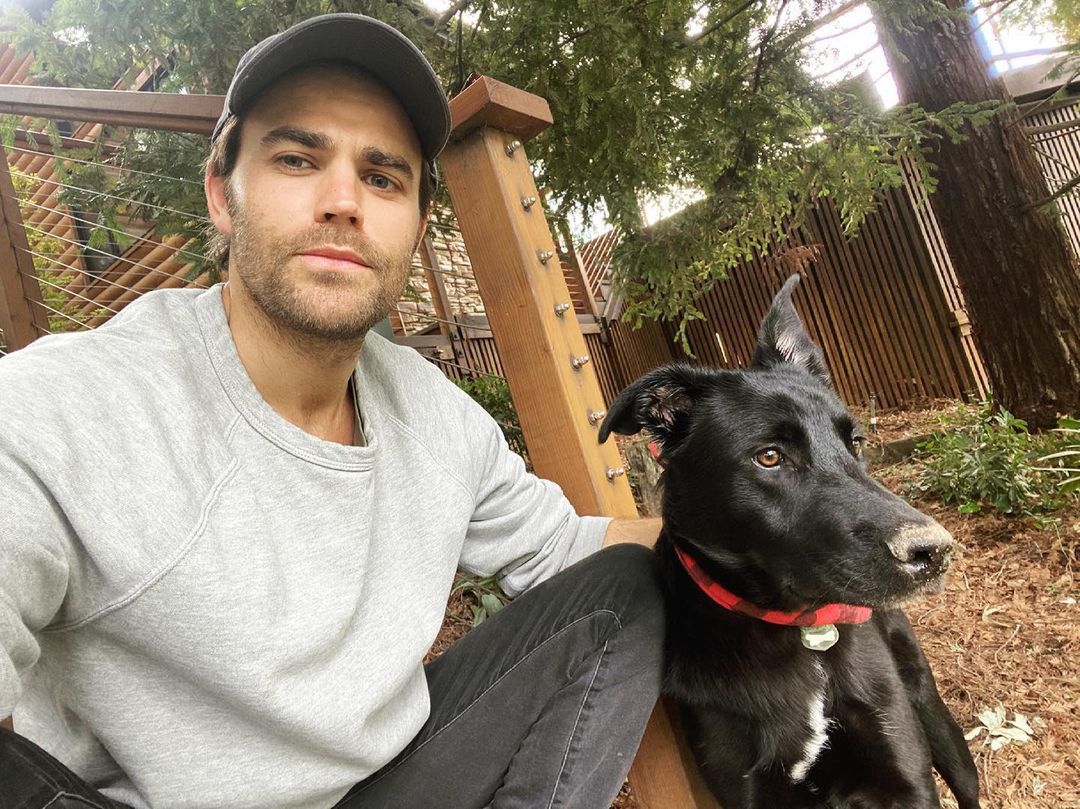 Paul Wesley - jego rodzice są Polakami