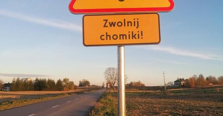 „Zwolnij – chomiki na drodze!”: Nowe znaki ostrzegawcze mają chronić zagrożone gryzonie pod Szczebrzeszynem