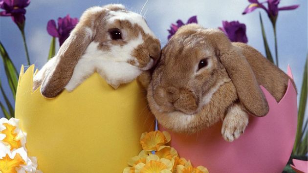 Wielkanocny przegląd promocji w App Store 1