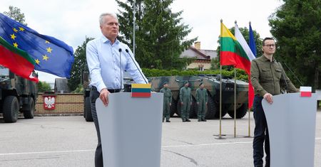Zamkną granicę? Prezydent Litwy o drastycznym kroku