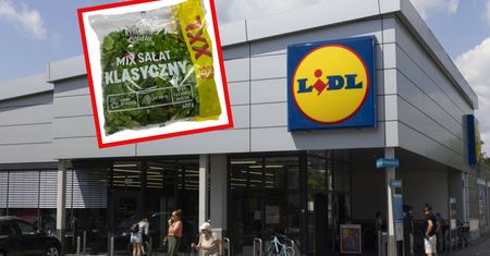 Pilny komunikat Lidla. W popularnym produkcie wykryto Salmonellę