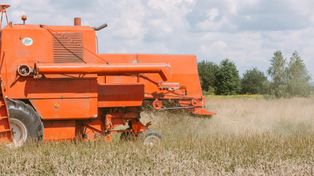 Kombajny ruszą już w czerwcu? Zboża dojrzewają szybciej niż zwykle
