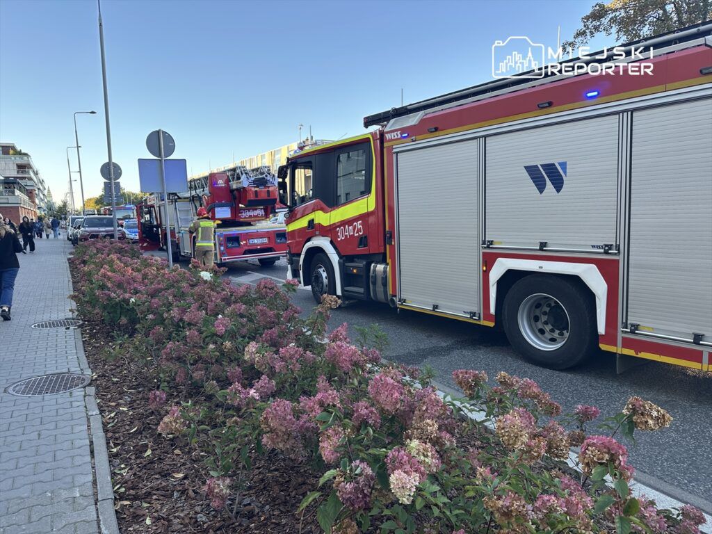 Wozidła strażackie zaparkowane wzdłuż ulicy, obok kwitnących hortensji, w tle przechodnie.