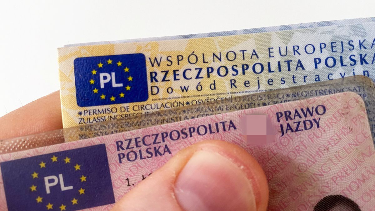 Dwa dokumenty kierowcy, których nie trzeba ze sobą wozić, ale i dwa różne podejścia w przypadku zmiany adresu zamieszkania