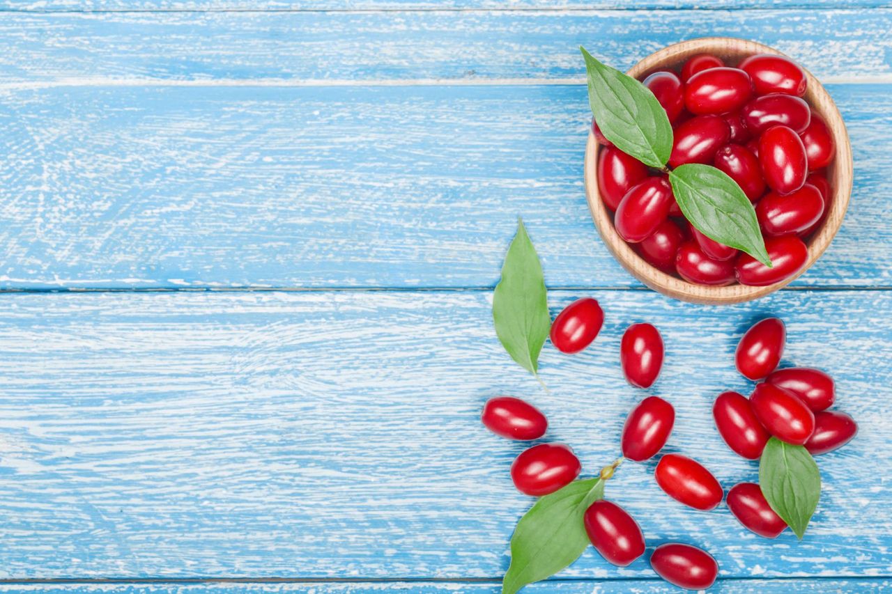 Dereń – właściwości odżywcze, zastosowanie, nalewka z derenia