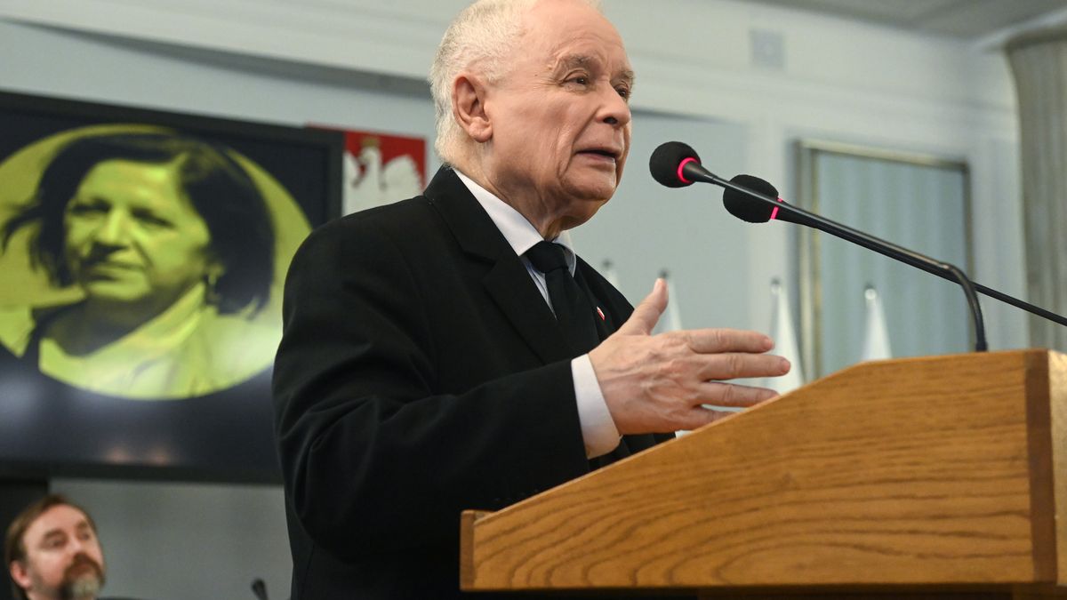 Warszawa, 02.04.2025. Prezes PiS Jarosław Kaczyński przemawia na posiedzeniu Parlamentarnego Zespołu Przeciwdziałania Bezprawiu w Sejmie, 2 bm. (aldg) PAP/Piotr Nowak