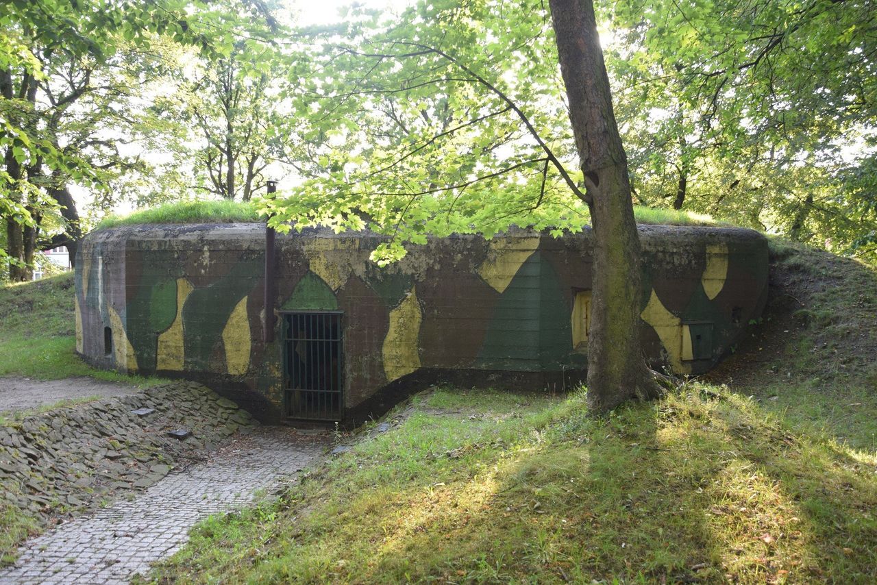 To najstarszy park w Świętochłowicach. Nazwa z Holandii, rozstrzelanie, schron i "piaśnicki pałacyk". Poznajcie historię Heiloo