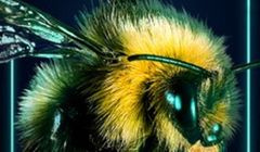 Rusza europejska kampania edukacyjna dla użytkowników e-hulajnóg