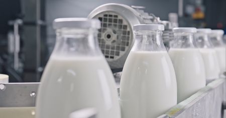 Sprzedają mleko za 49 gr. Tyle tak naprawdę kosztuje litr