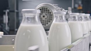 Sprzedają mleko za 49 gr. Tyle tak naprawdę kosztuje litr