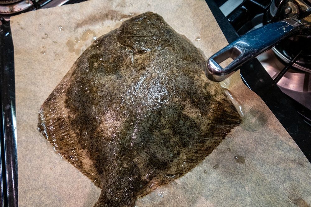 Bastad, SwedenBastad, Sweden A whole fresh turbot on a pan with wax paper  in the kitchen waiting for the oven.Alexander Farnsworthwhite, isolated, black, healthy, aquatic, flat, mediterranean, catch