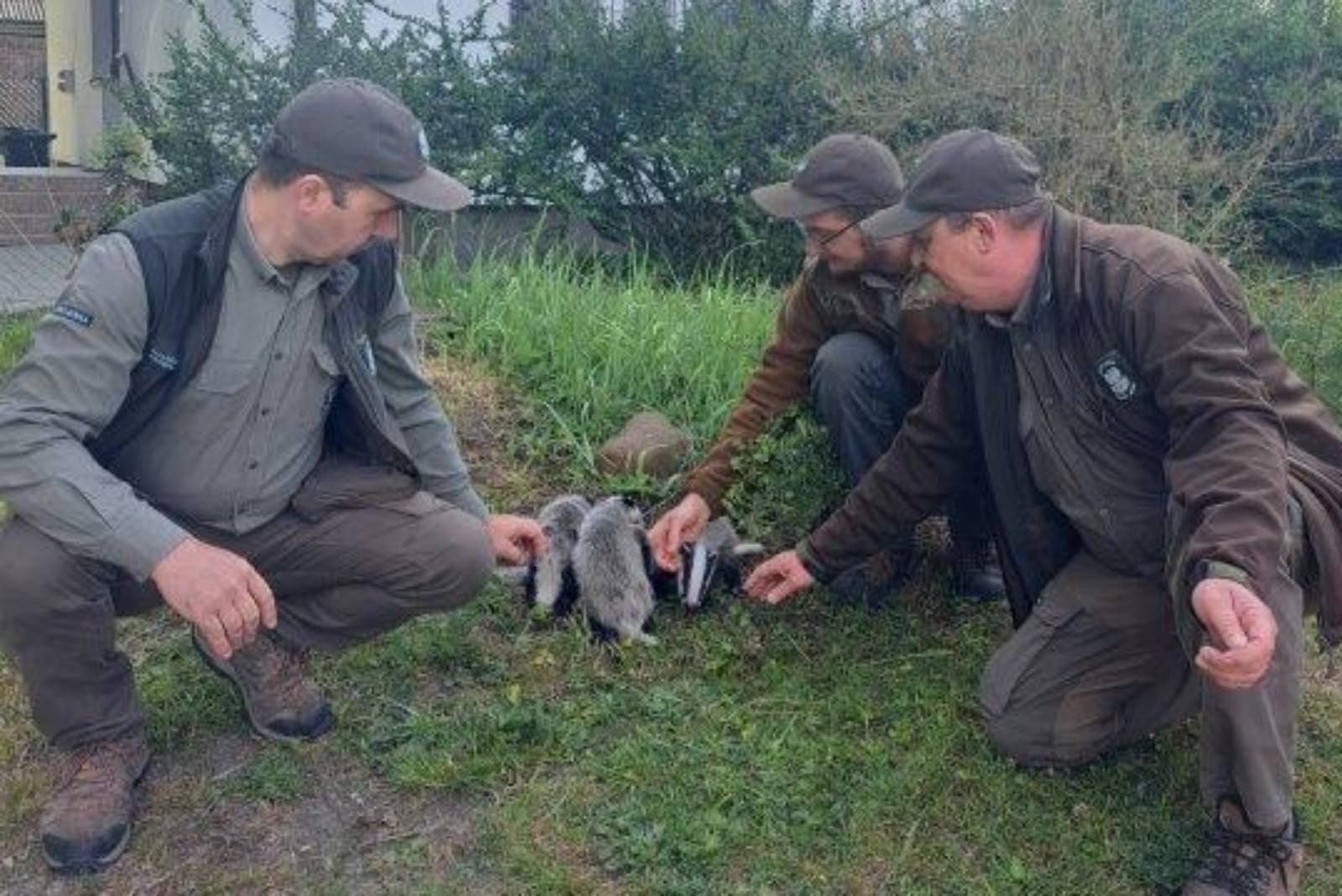 Błąkały się tuż przy ulicy. Leśnicy nie wahali się nawet przez chwilę