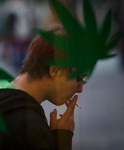 Nasi sąsiedzi legalizują marihuanę. Do 100 gramów na własny użytek