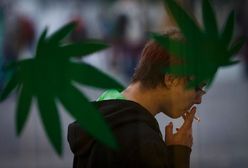 Nasi sąsiedzi legalizują marihuanę. Do 100 gramów na własny użytek
