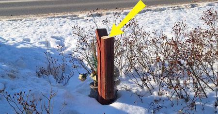 Skandal przy drodze. Stała tam od lat 70. "Bulwersujące"