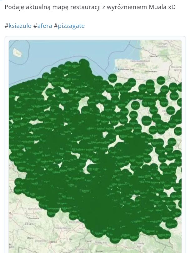 Internauci śmieją się z pizzy Książula