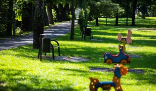 Bielsko-Biała. Miejskie parki przejdą modernizację. Projektanci mają zadbać o drzewa