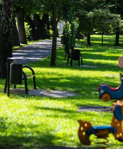 Bielsko-Biała. Miejskie parki przejdą modernizację. Projektanci mają zadbać o drzewa