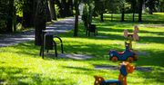 Bielsko-Biała. Miejskie parki przejdą modernizację. Projektanci mają zadbać o drzewa