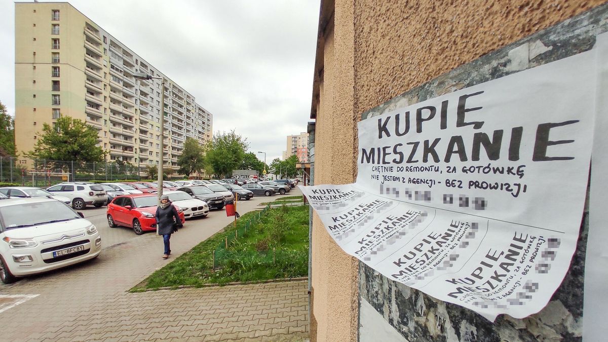 Reporter archiwum 2024 0428.04.2024 Lodz. Flipper to calkiem nowy zawod, ktory polega na tym, aby zakupowac nieruchomosci w okazyjnych cenach, zwiekszac ich wartosc i kolejno sprzedawac z zyskiem dla siebie. W Lodzi pelno jest o gloszen o skupach mieszkan... N/z ogloszenie na lodzkiej Retkini. Fot. Piotr Kamionka/REPORTERPiotr Kamionka/REPORTER