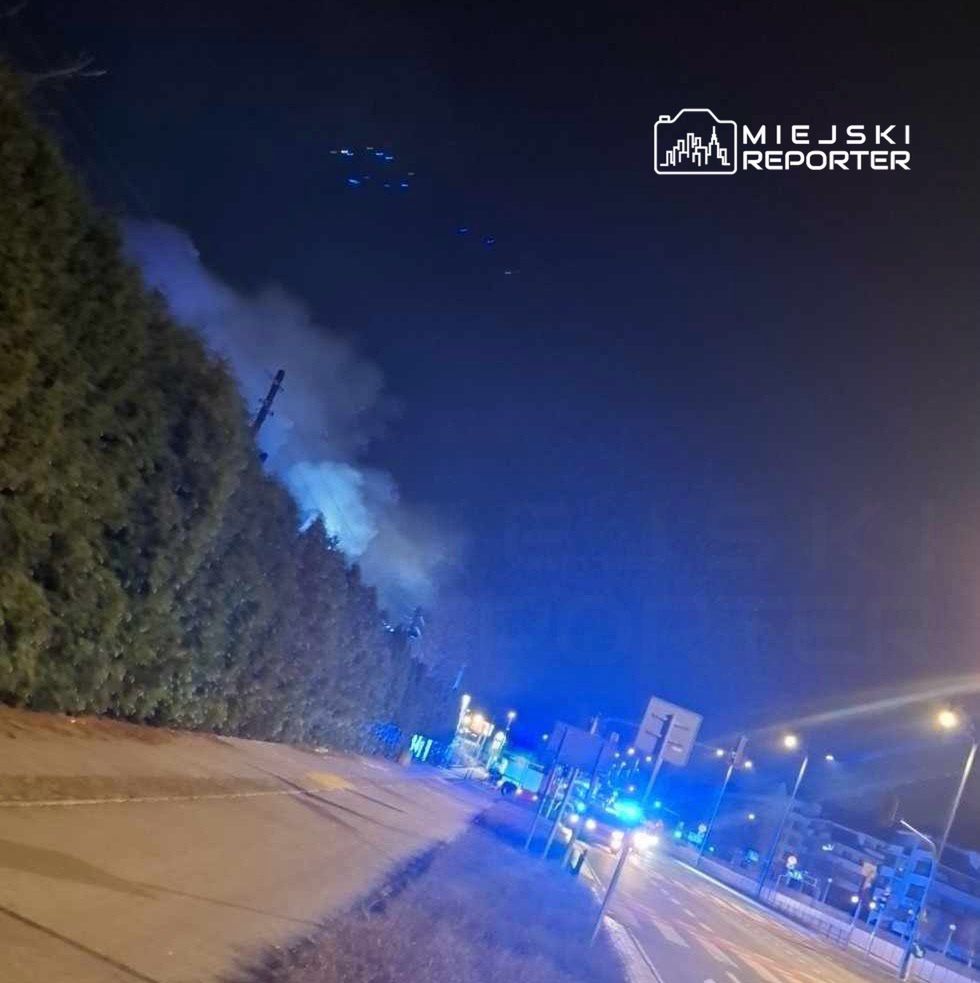 Fot. Czytelnik Miejskiego Reportera
