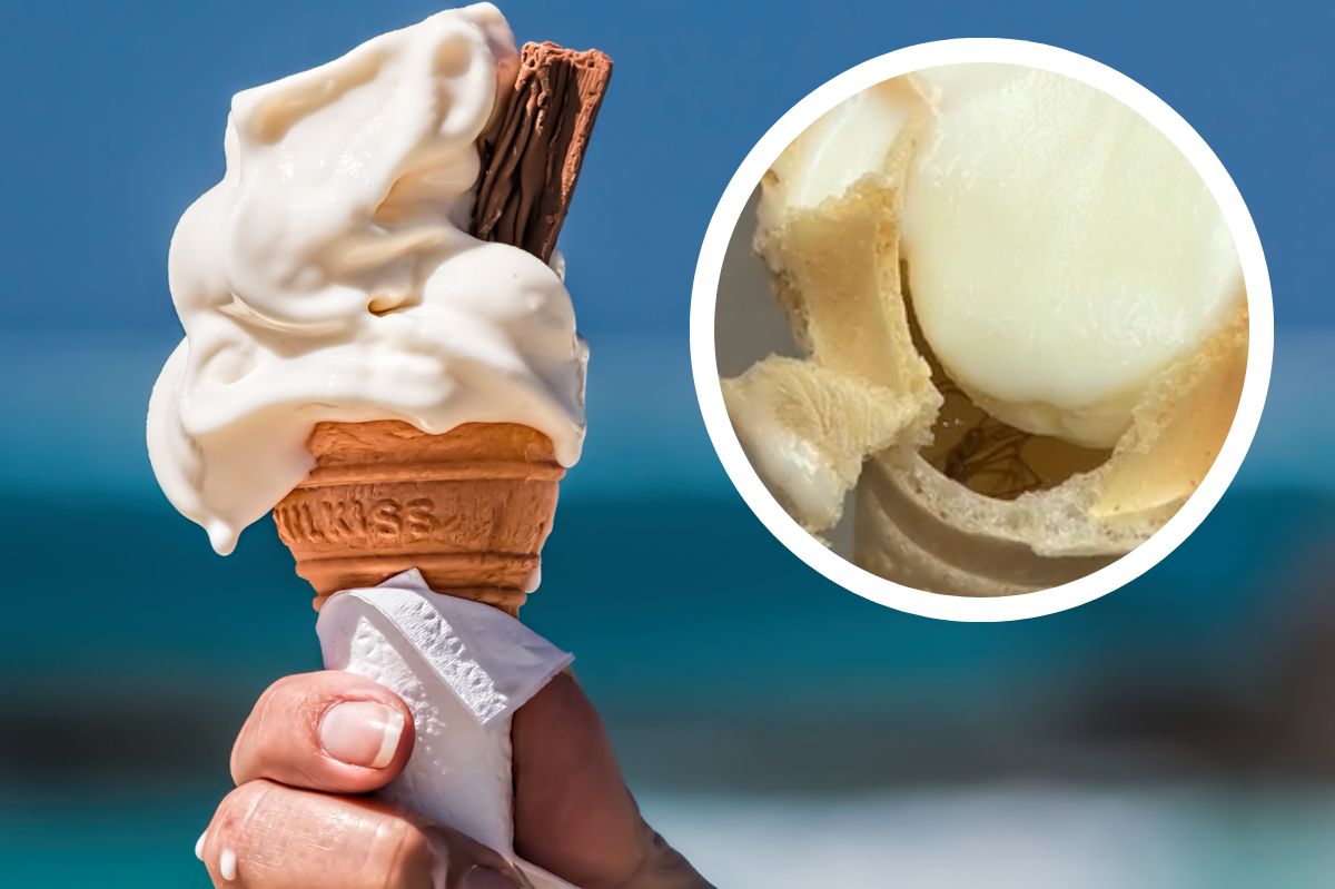 Spider surprise in ice cream cone shocks unsuspecting woman