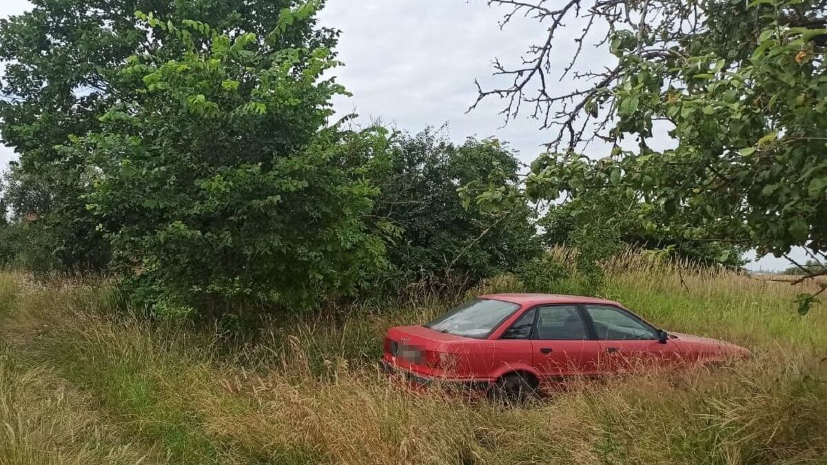 Samochód marki Audi w krzakach