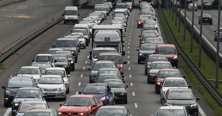 Łoś zablokował trasę ekspresową. Powstał ogromny korek