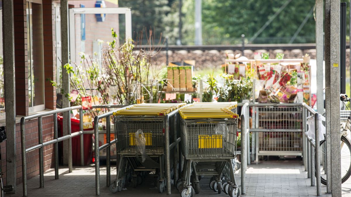 Biedronka wózek zakupowy sklep